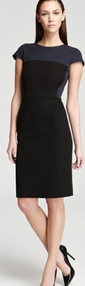 Theory BNWT Colorblock Jada C dress 10